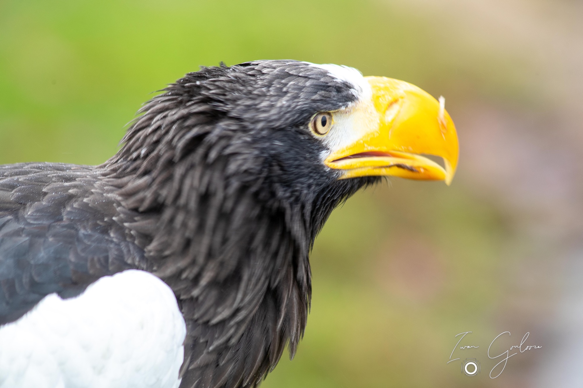 1DX46616 12 december 2021 1349 36